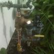 3/4" Pressure Regulator
